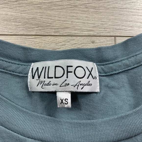 Wildfox Couture Oversized Indigo Rose Embroidered T-Shirt Dress in Vision Blue - Picture 6 of 11